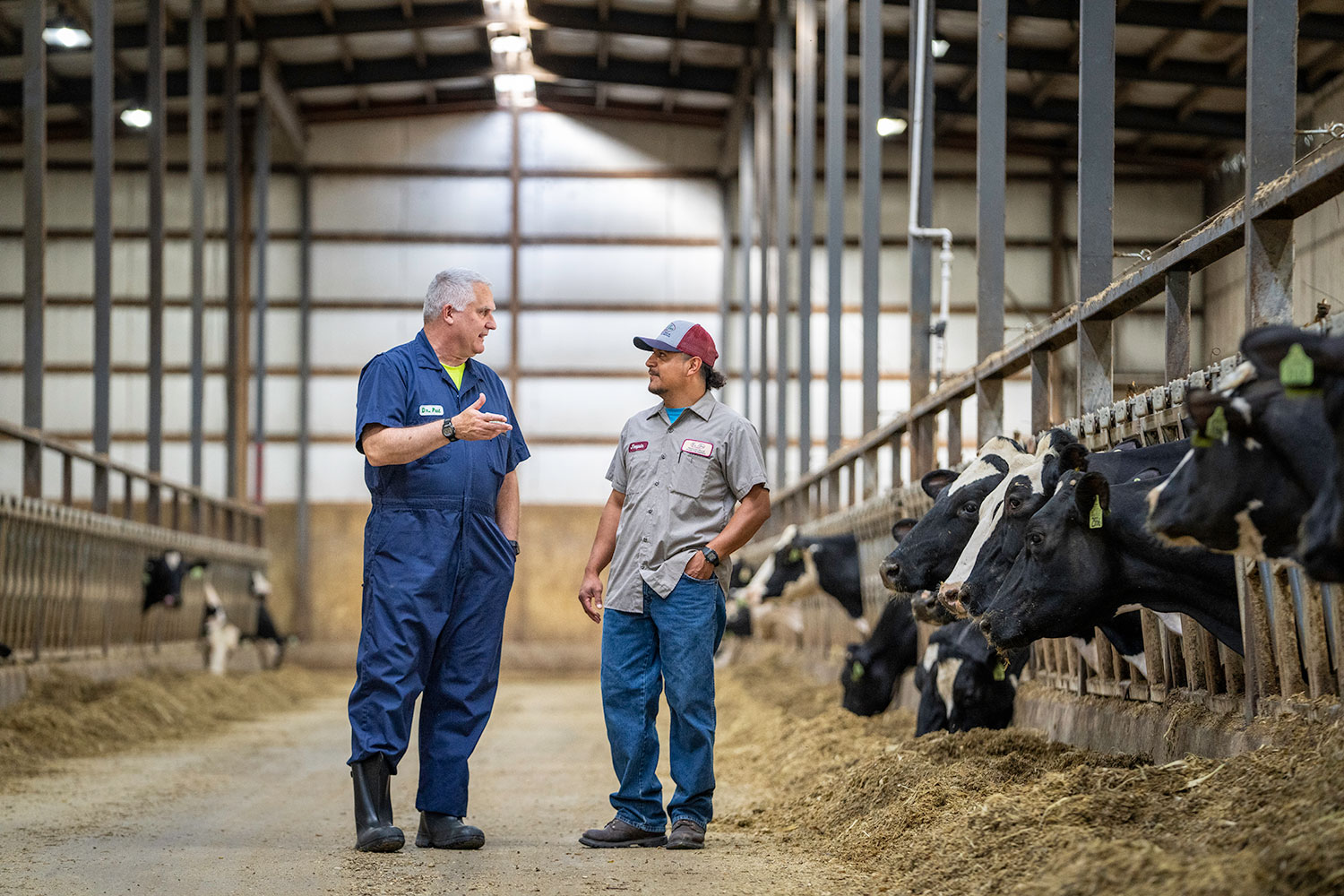 Grande. Made Great For You. Farmers Grande. Made Great For You. Farmers